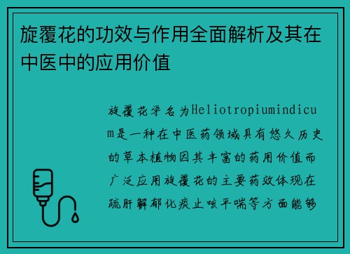 旋覆花的功效与作用全面解析及其在中医中的应用价值